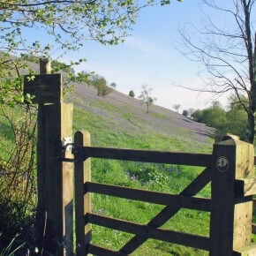 Red Doors Farm